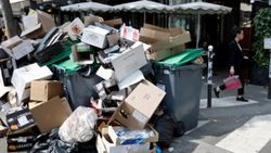 Paris Belediyesi çöp raporuna 224 bin euro ödedi