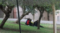 Parkta fotoğraf çektirdiği için öldürüldü