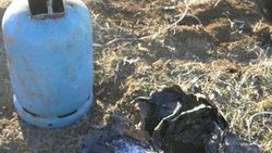 Tunceli'de yola döşenen patlayıcı imha edildi