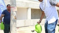 Ünlü şarkıcı Sean Paul Antalya'ya ağaç dikti