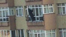 14. katta ölümcül temizlik