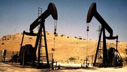 Putin'in ekonomi danışmanından petrol fiyatı uyarısı