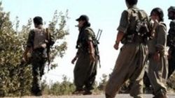 Şırnak'ta 3 terörist teslim oldu