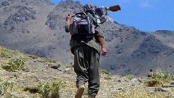Hakkari'de bir terörist teslim oldu