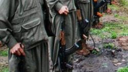 7 PKK’lı teslim oldu