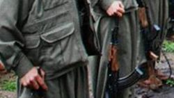 Şırnak’ta 7 PKK’lı teslim oldu