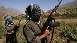 PKK'nın bölge sorumlusu öldürüldü