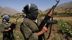 PKK Bingöl'de kaçırdığı 2 işçiyi serbest bıraktı