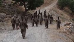 Erzurum'da üst düzey 2 terörist yakalandı