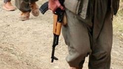 Bingöl'de 3 PKK'lı yakalandı