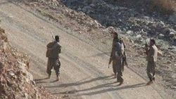PKK'lılar erzak vermeyi reddeden köylüyü kaçırdı