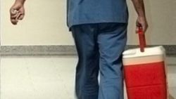 Beyin ölümü gerçekleşince 8 kişiye umut oldu
