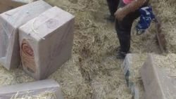 Uşak'ta 76 bin kaçak sigara ele geçirildi
