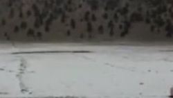 Dolu yağışı Antalya'yı değiştirdi