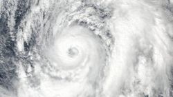 Japonya'da Lan tayfunu: 5 ölü