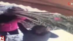 Yemek yerken üzerlerine palmiye ağacı devrildi
