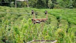 Rize'de ilkel teleferik can aldı