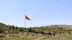 Terörden arındırılan Diyarbakır yeniden yeşerecek