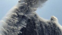 Japonya'da korkutan dalga