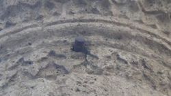 Minarede 98 yıllık patlamamış top mermisi var