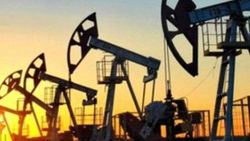 2040'da enerji talebi günlük 365 milyon varil olacak