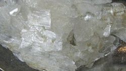 Sodyum asetat nedir
