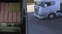 Çalınan 327 bin yumurta bulundu