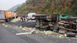 TEM'de TIR ve kamyon çarpıştı