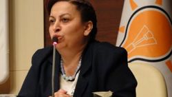 Ak Partili Milletvekili İncekara'dan Berkin Elvan tepkisi