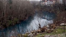 Bartın'da ırmaktaki kirliliğe 40 bin liralık ceza