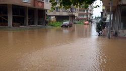 Rize'de sağanak yağış Arılı Deresi'ni taşırdı