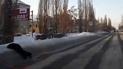 Alkolü fazla kaçıran Rus yol kenarında sızdı