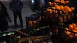 Ruslar Türkiye'den getirilen mandalinaları ezdi