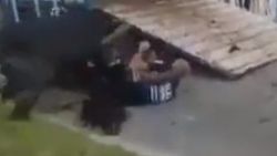 Fransa'da boğa tarafından saldırıya uğrayan polis