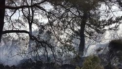 Çanakkale'de 100 dönümlük alanda yangın