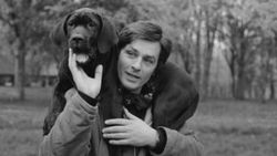 Alain Delon: Benden sonra köpeğimi uyutun