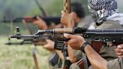 PKK'lılar kamyon yakıp gasp yaptı