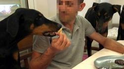 Köpeklerini görme isteğine mahkemeden ret