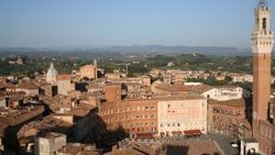 Tutkulu İtalyan Siena