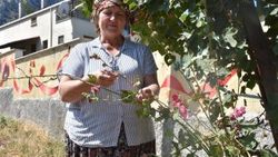 Köyünü ekoturizme açarak kadınlara örnek oldu