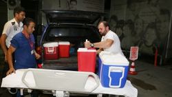 Gurbetçi kadının organları üç hastaya hayat verecek