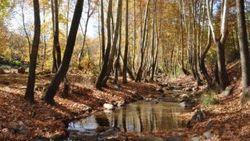 İdilli Vadisi'nde, sonbahar güzelliği