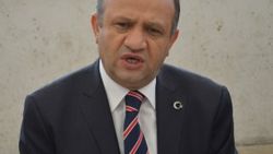 Bakan Fikri Işık'tan yerli otomobil açıklaması