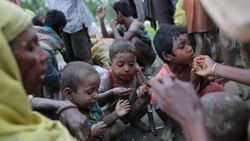 İngiliz Parlamentosu'ndan Arakan Raporu