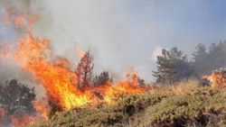 Oltu'daki yangın 4 gündür sürüyor