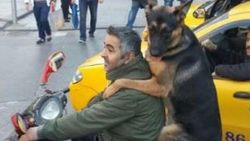 Köpeğin motosiklet keyfi -izle