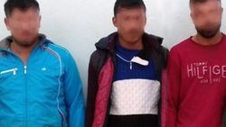Güvercinleri vahşice öldürenler yakalandı