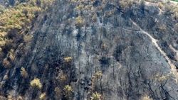 Çanakkale'de yanan ormanlık alanlar havadan görüntülendi