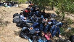 Suriyeliler TEM’de kamp kurdu