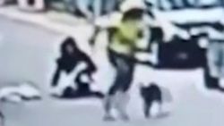 Kapkaça uğrayan kadını kurtaran kahraman köpek